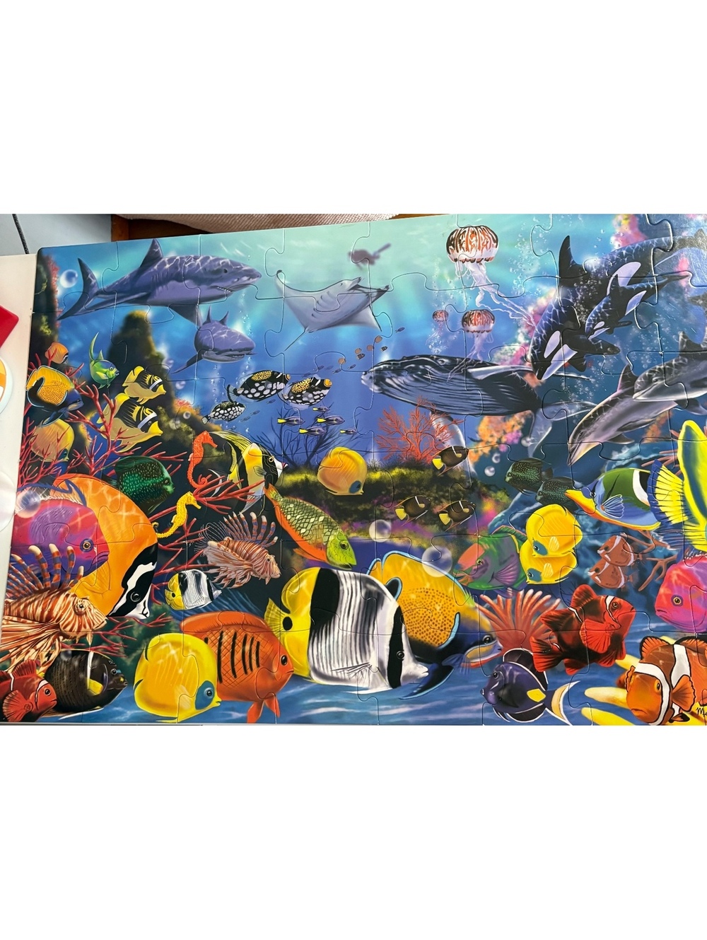 Melissa and Doug Underwater puzzle